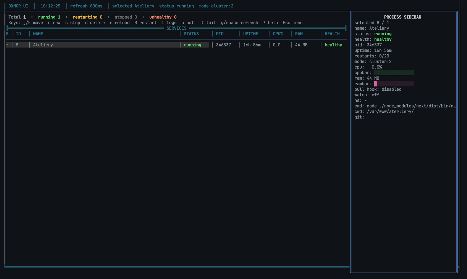 oxmgr terminal UI showing process list and sidebar with CPU, RAM and status info
